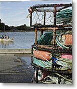 Got Crab? Metal Print