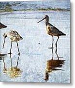 Gotwit Family Metal Print