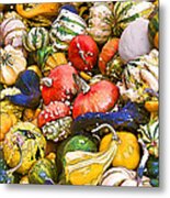 Gourds And Pumpkins At The Farmers Market Metal Print