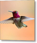 Graceful Beauty Metal Print