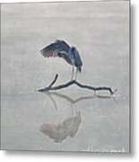 Graceful Heron Metal Print