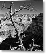 Grand Canyon Bw Metal Print