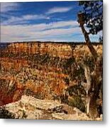 Grand Canyon Golden Rocks Metal Print