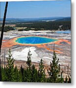 Grand Prismatic Spring From Hillside Metal Print