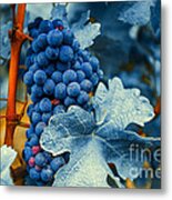 Grapes - Blue Metal Print