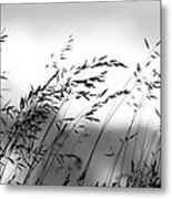 Grass On Mount Iwaki Metal Print