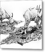 Grazing Metal Print