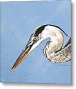 Great Blue Tyler Metal Print