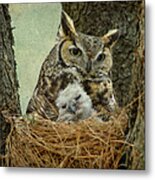 Great Horned Owl Mom And Baby Metal Print