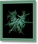 Green Frost Metal Print