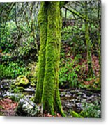 Green Green Moss Metal Print