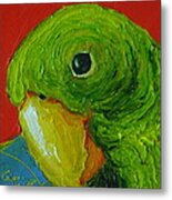 Little Green Parrot Metal Print