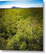 Green Trees In Iceland Metal Print