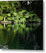 Green Tropical Paradise - the Gardens of the Museum of Art of Puerto ...