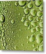 Green Water Metal Print