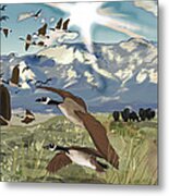 Greenbelt Plateau Boulder Co Metal Print