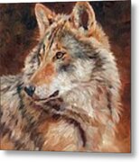 Grey Wolf Portrait Metal Print