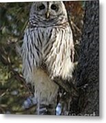 Guardian Of The Forest Metal Print