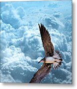 Gull On Teal Clouds Metal Print