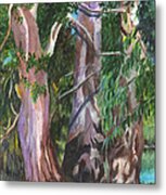 Gum Trees In Oz Metal Print