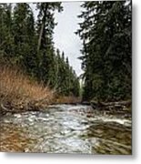 Hackleman Creek Metal Print