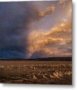 Half And Half Metal Print