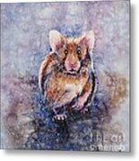 Hamster Metal Print