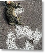 Handicat Parking Metal Print