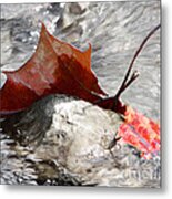 Hanging On By Faith Metal Print