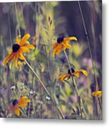 Happiness Is In The Meadows - L03 Metal Print