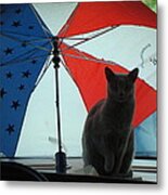 Happy 4th Of July Metal Print