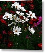 Happy Cosmos Metal Print