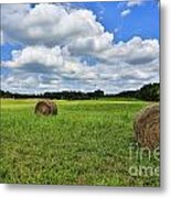 Harvest Metal Print