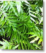 Hawaiian Foliage Metal Print