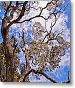 Hawaiian Sky Metal Print