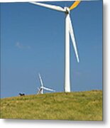 Hawi Wind Farm Metal Print