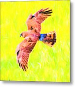Hawk In Flight Art Metal Print
