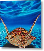Hawksbill Sea  Turtle Ii Metal Print