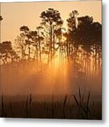 Hazy Summer Morning Sunrise Metal Print