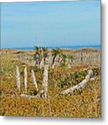 Heading To The Beach Metal Print