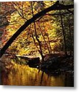 Headwaters Metal Print