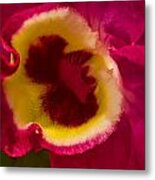 Heart Of An Orchid Metal Print