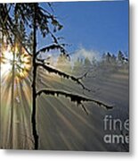 Heavenly Manifestation Metal Print