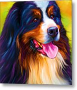 Colorful Bernese Mountain Dog Painting Metal Print by Michelle Wrighton