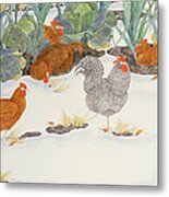 Hens In The Vegetable Patch Metal Print