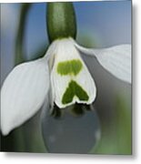 Her Big Green Heart Metal Print