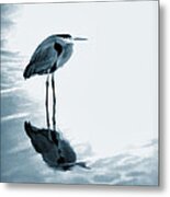 Heron In The Shallows Metal Print