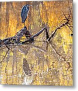 Heron Reflecting Metal Print