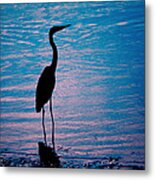 Herons Moment Metal Print