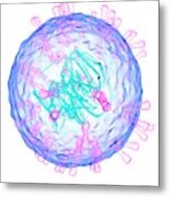 Herpes Simplex Type 2 Virus Metal Print